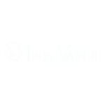 logo partner iron vaper